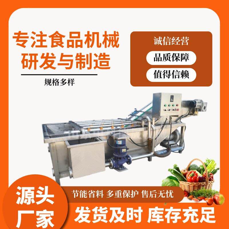全自动果蔬气泡清洗机多功能果蔬喷淋式洗菜机小龙虾菠菜清洗机