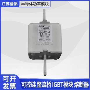 170M2620伊顿巴斯曼熔断器保险丝 170M5410 170M8650 170M4956