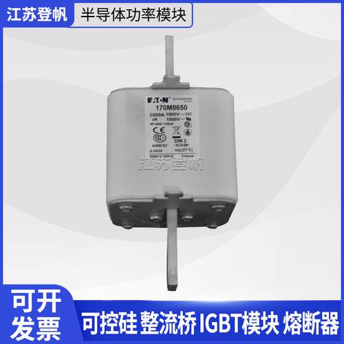 170M8650 170M4956 170M5410 170M2620伊顿巴斯曼熔断器保险丝