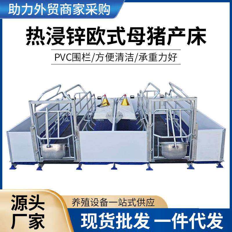 2024新款热浸锌欧式母猪产床小猪保育床现货供应产保一体母猪产床