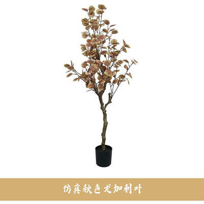 仿真装饰植树布景加利室外家居软欧风金钱落地尤装盆景室内叶绿北