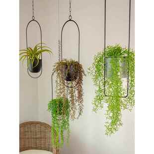 【奇莫】创意挂铁花盆水培植物花盆空中垂坠阳台欧式园林装饰