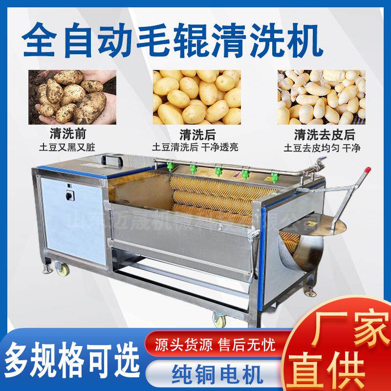 厂家直销全自动毛辊红薯土豆清洗果蔬加工设备
