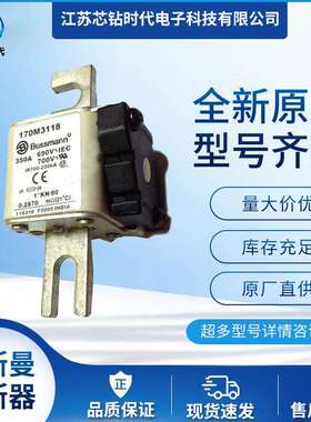 170M3114 170M3115 170M3116 巴斯曼BUSSMANN熔断器保险丝