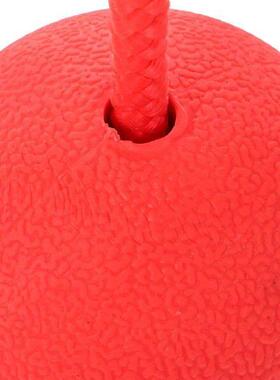 Bite Resistant Rubber Ball for Dog Activity Toys Training