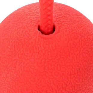 Bite Resistant Rubber Ball for Dog Activity Toys Training