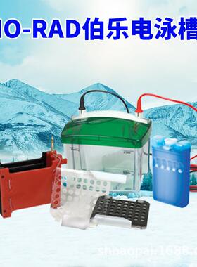 级国伯I乐BO-RAD小型垂直伯乐电泳槽一电泳仪垂直电泳槽转美印槽