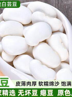 特大白芸豆新货云南特产大白云豆子干 干货沙拉豆浆五谷杂粮煲汤