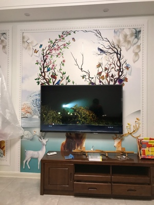 实力对比TCL 55V6M和55V6哪个好？配置画质区别大不大呢？