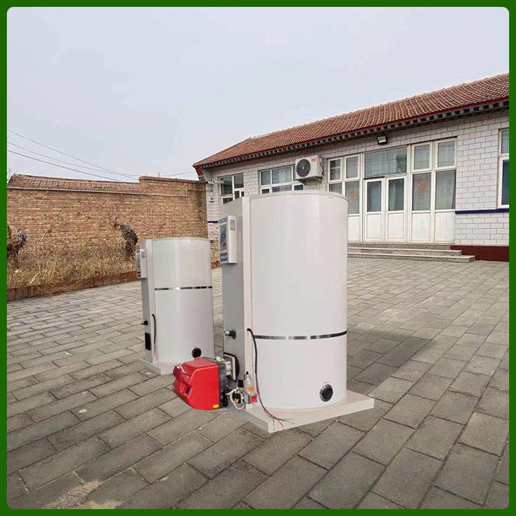 沼气锅炉热水锅炉0.2吨热水锅炉取暖锅炉的性能