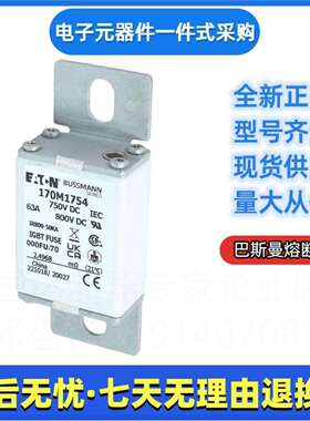 巴斯曼bussmann快速熔断器170M1739170M1740170M1741伊顿eao