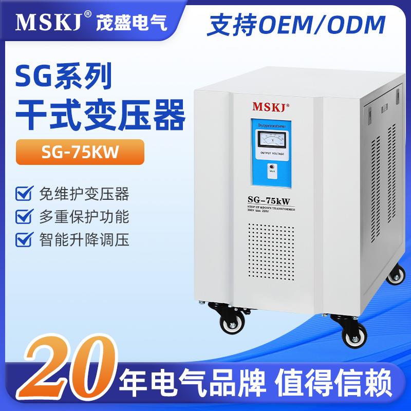 SG-75KW家用220v全自动新能源车充电桩稳压器10/15/20/0/40kw