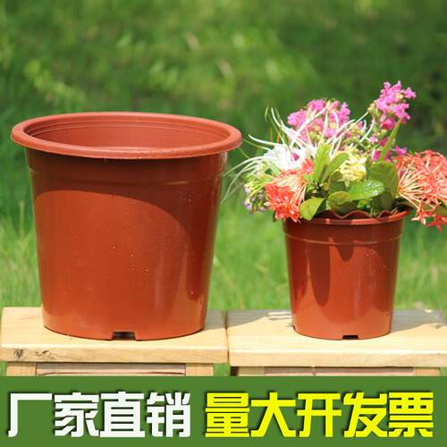 小花盆特价清仓包邮育苗盆塑料阳台多肉盆小盆栽反边网底盆无托盘