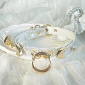 宠物项圈牵引套装 通用遛猫遛狗绳脖颈圈choker项圈 大小犬型全尺码