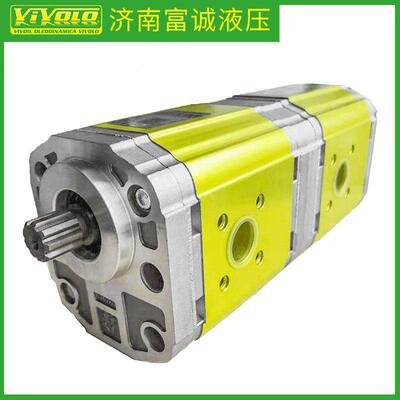 维沃尔9S221FQA5143欧洲原装进口多联齿轮泵 进口液压齿轮泵
