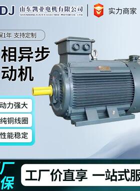 YE4系列三相异步电动机110w/132w/160w/200w/220w250w厂家