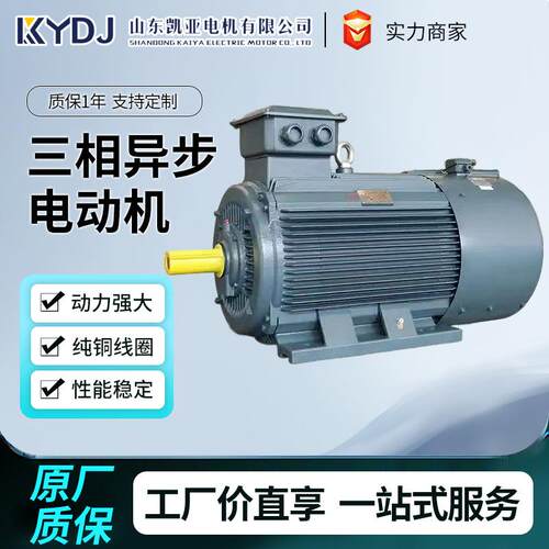 YE4系列三相异步电动机110w/132w/160w/200w/220w250w厂家