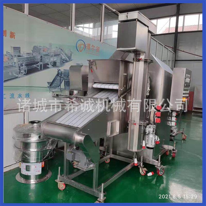 核桃仁裹糠上浆上糖机 全自动不锈钢裹糖稀设备 琥珀核桃仁裹糖机