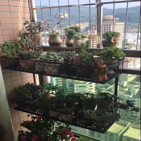 双层阳置RFJ台栏杆花架物挂架花盆架室内悬饰铁艺挂式花装架子多