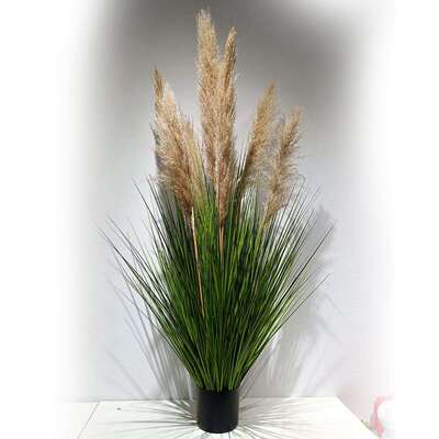 新款仿真芦苇蒲苇草干花装饰大芦苇花卉绿植物盆栽室内大型绿植