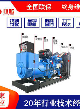 玉柴柴油发电机组200KW 250KW 300KW400KW柴油发电机50千瓦发电机