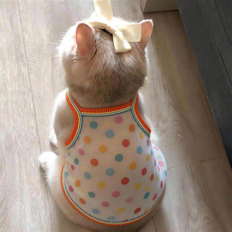 猫衣服防掉毛德文猫夏季薄款吊带布偶猫宠物狗狗衣服2026新款透气