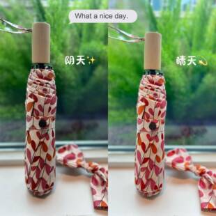 新款直销新品ins休闲三折雨伞手动小巧木柄折叠伞轻便简约碰击布
