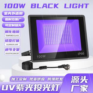 工厂直销 100W黑光灯户外防水IP66UV紫光投光灯泛光灯395mm万圣节