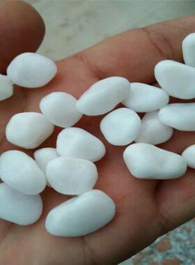 白色鹅卵石 白色石子 汉白玉鹅卵石 汉白玉石子 白色小石头