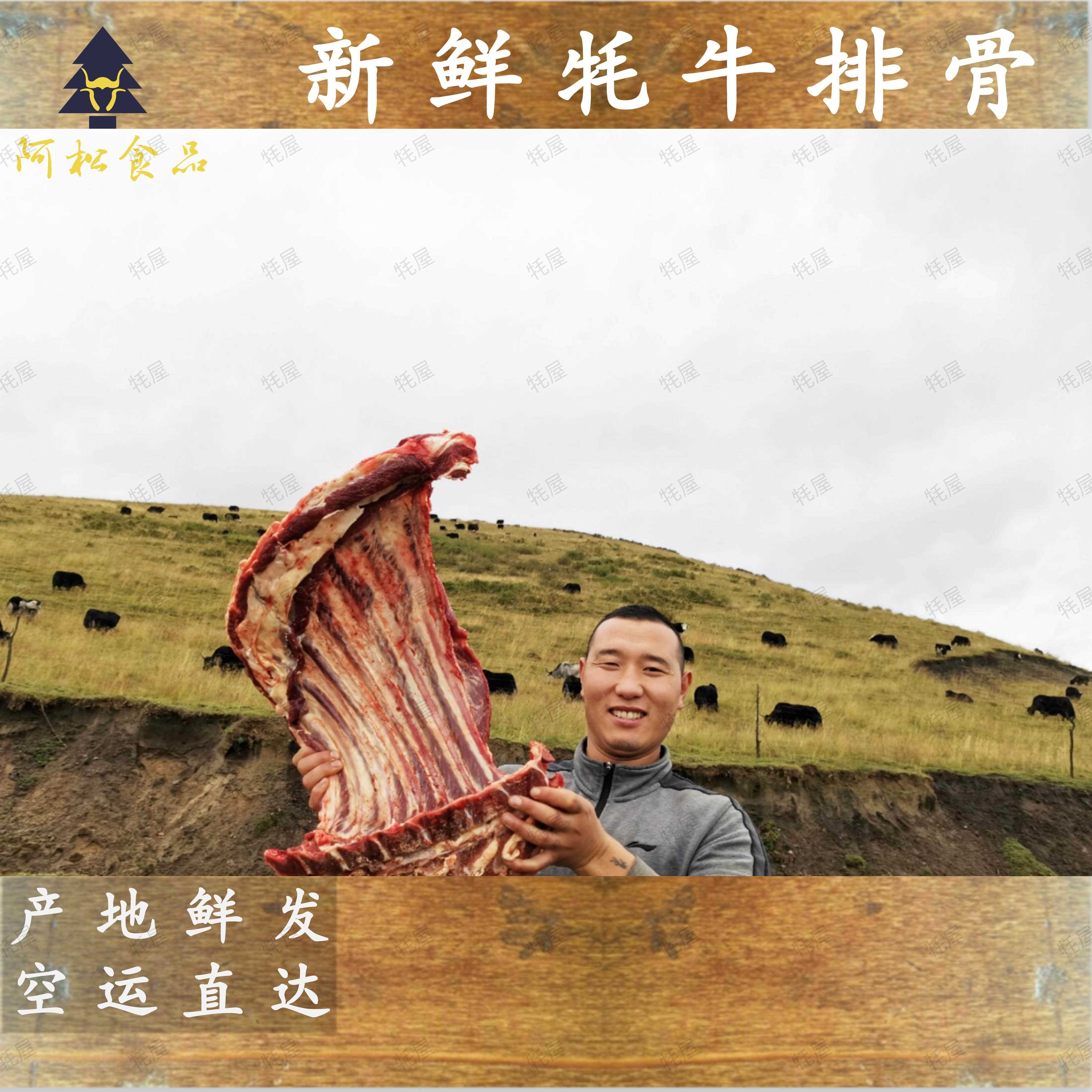 正宗阿坝新鲜牦牛排骨肋排脊排散养半散养牦牛肉生牛肉清真