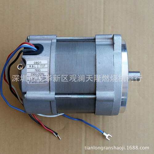 销售R.B.L.牌172T7693150W利雅路G20LC燃烧机电机马达