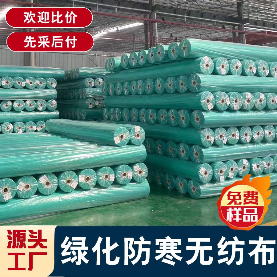 绿化无纺布厂家 育苗种草防尘透气保湿护坡绿色农用无纺布定制