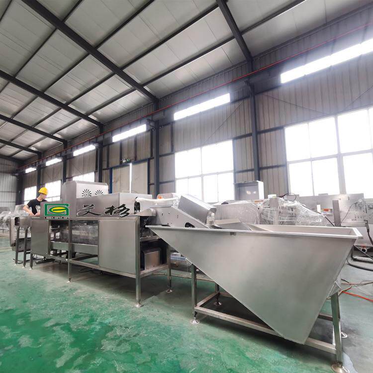河南全自动洗蛋机价格双排鸭蛋洗蛋机厂家鸡鸭蛋松花蛋清洗机