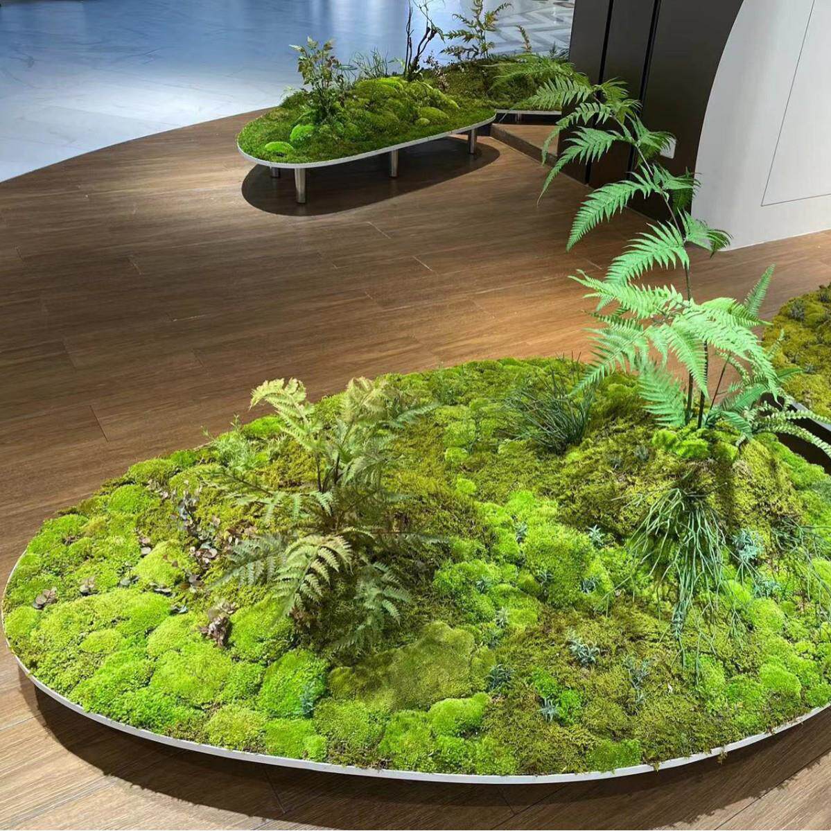 仿真苔藓永生苔藓块干花青苔盆景植物造型美陈室内装饰客厅摆设