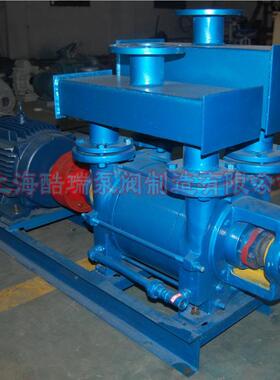 2BEA大型OVZ水环式真空泵 2量E水环真空泵 大B气水环真空式泵
