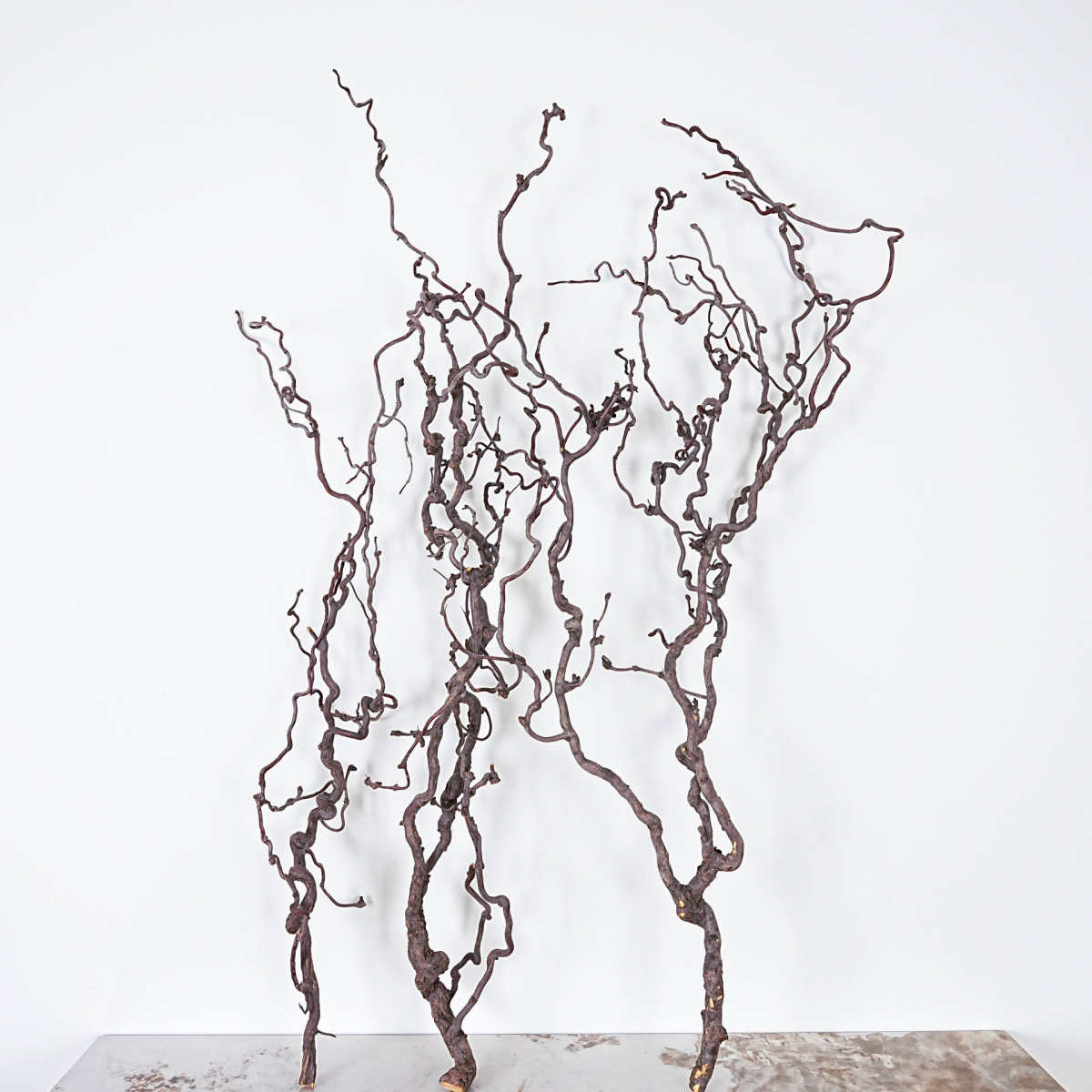 龙枣枝天然树干中式插花树枝树干天然多分叉 插花软装手工