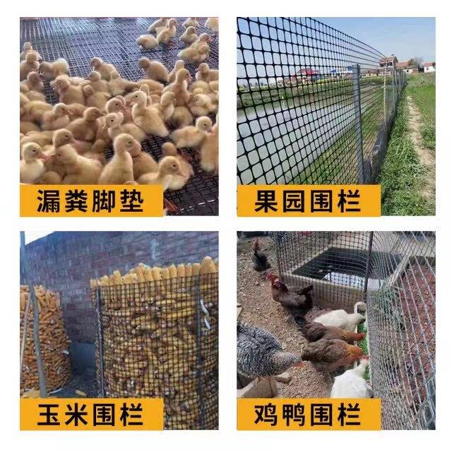塑料网护格防养殖拦鸡鸭米家用菜园玉护栏果园栅栏外户养鸡围栏网