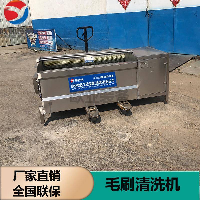 厂家直供 尼龙刷清洗设备 海蛎子去泥清泥机 海鲜贝类洗贝壳机器