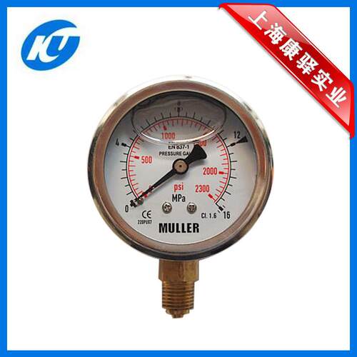 60MPA 100mm高压压力表 Y-ML60-100