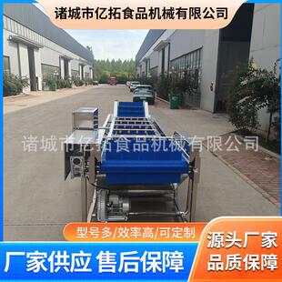 气泡清洗机果蔬加工设备食品厂清洗神器葡萄苹果梨果蔬清洗设备