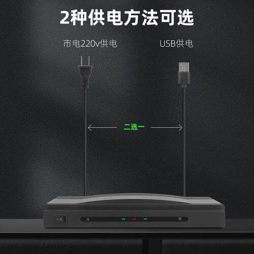 2.4G无线一拖二话筒家用接收器舞台ktv专业舞台k歌会议防啸叫麦克