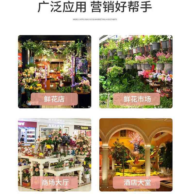 鲜柜商无品牌/用冷保鲜柜花店花束展示藏柜立花式风冰柜冷网红鲜