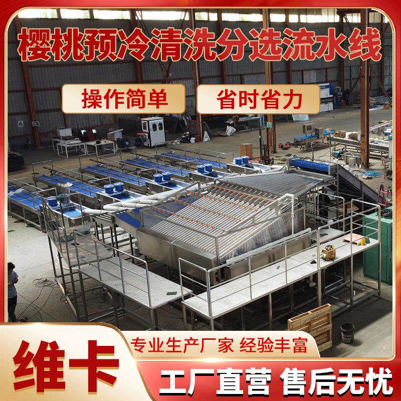 车厘子大樱桃直径分拣机 清洗分选流水线 樱珠分级机大小果分选机