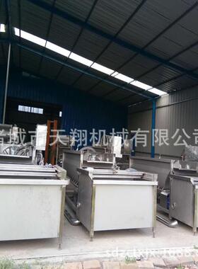 生产蔬菜清洗机菜加工线涡流气泡清洗机厂家诸城天翔机械