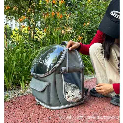 新款直销新款猫包大容量便携太空舱宠物背包跨境时尚出行牛津布宠