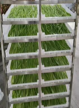 热泵贡菜烘干设备烘干房可多阶段控温控湿实现烘干物料品质好