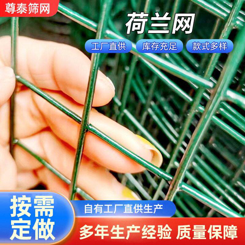 铁丝浸塑荷兰网鸡鸭防护栏养殖网种植果园围栏网圈地护栏网荷兰网
