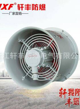 厂家直销CBF-600型防爆轴流风机防腐玻璃钢低噪音抽风机