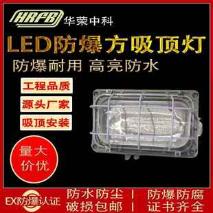 防爆壁LED灯吸顶30W带网防水防潮方形防潮壁灯吸顶安装