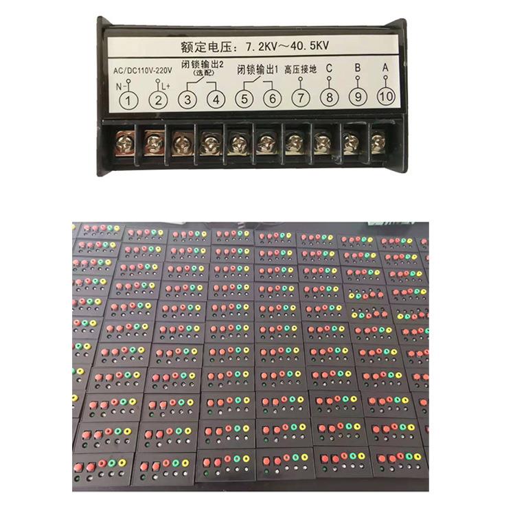 厂家DXN48源-Q6-5KV户内显高压带RUY头电示器